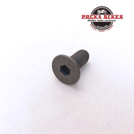 Vis palier AAC 5-6 jusqu--039--agrave- 09-1975